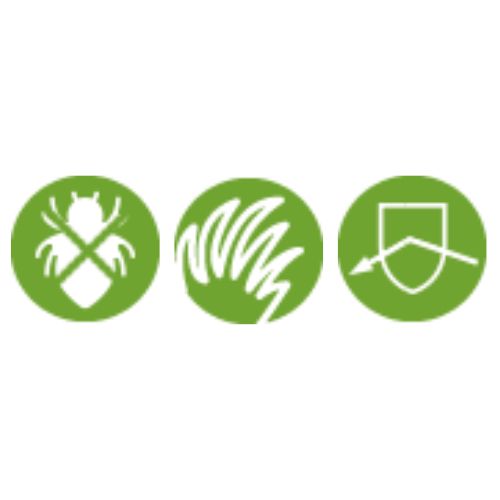 3-in-1 Koekjes Vlo & Teek - Afbeelding 4