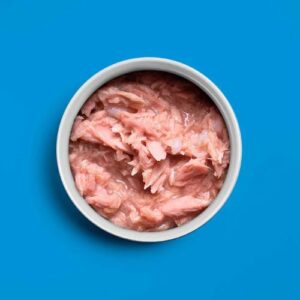 Tuna Fillets - Tonijnfillets