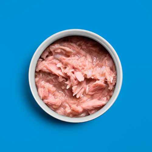 Tuna Fillets - Tonijnfillets