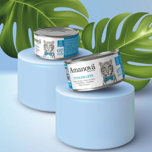 Tuna Fillets - Tonijnfillets