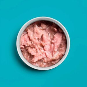 Tuna & Whitebaits - Tonijn & Ansjovis