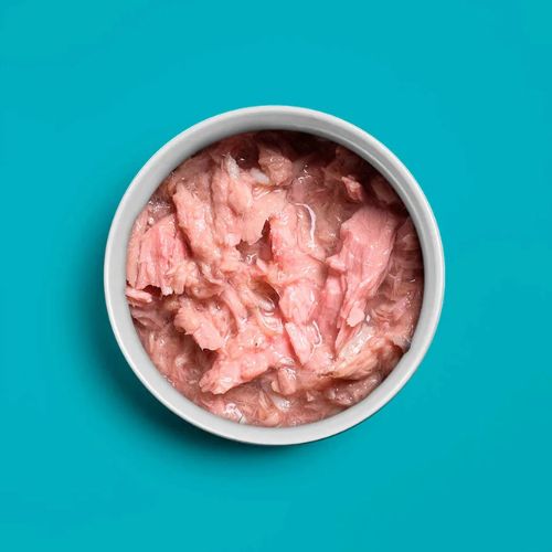 Tuna & Whitebaits - Tonijn & Ansjovis