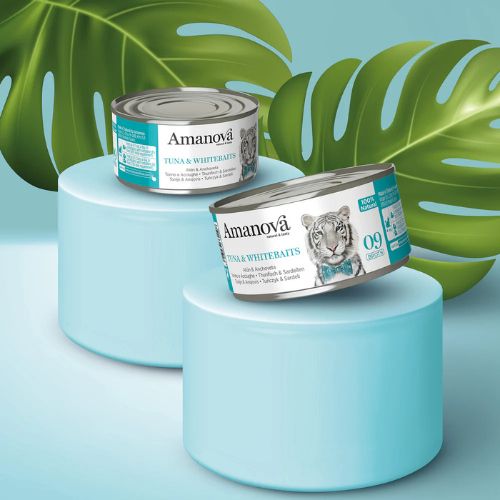 Tuna & Whitebaits - Tonijn & Ansjovis