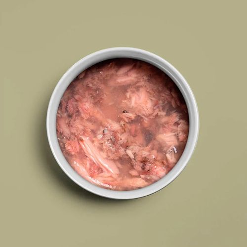 Tuna & Sardines - Tonijn & Sardines