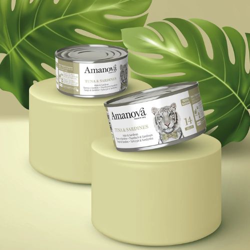 Tuna & Sardines - Tonijn & Sardines