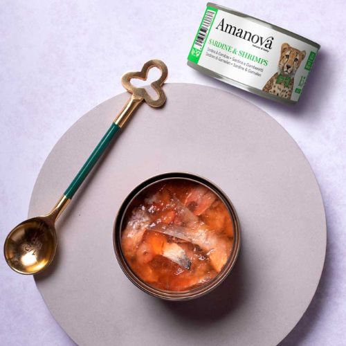 Sardine & Shrimps - Sardine & Garnalen