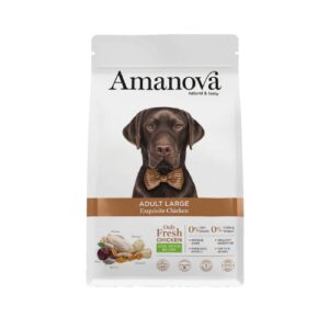 AM Adult Large Exquisite Chicken