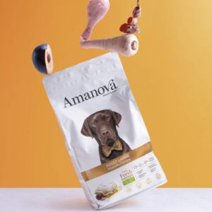 Alternative view of AM Adult Large Exquisite Chicken