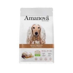 AM Adult Medium Exquisite Chicken