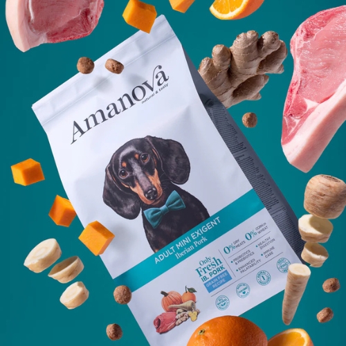 AM Adult Mini Exigent Iberian Pork - Afbeelding 3