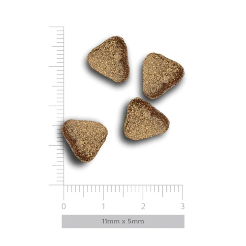 AM Adult Mini Exigent Iberian Pork - Afbeelding 4