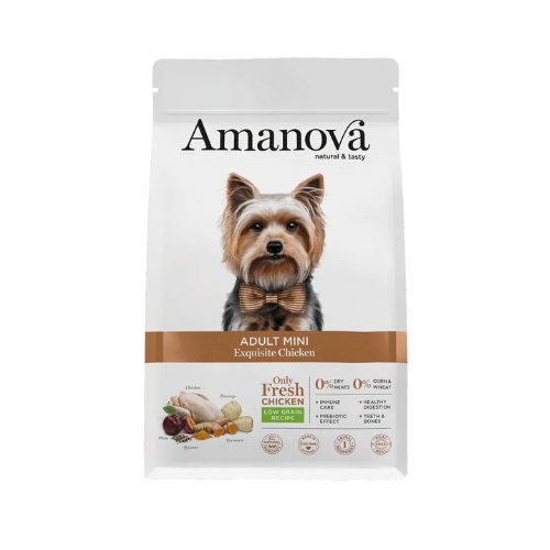 AM Adult Mini Exquisite Chicken