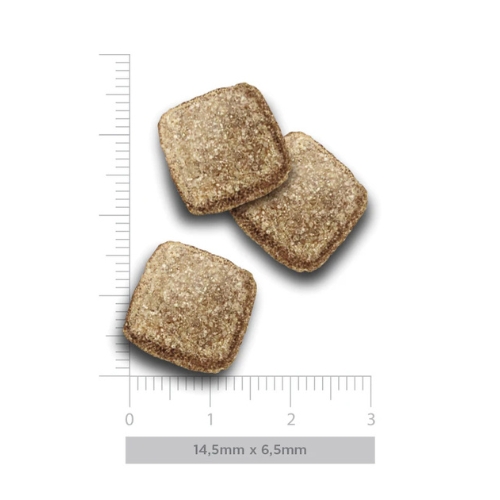 AM Adult Obesity Turkey Delight - Afbeelding 4