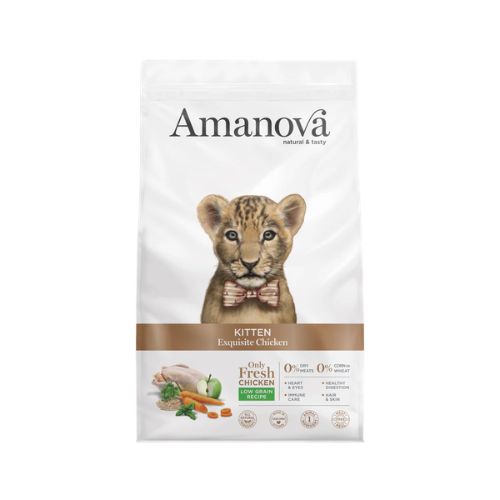 Kitten Exquisite Chicken