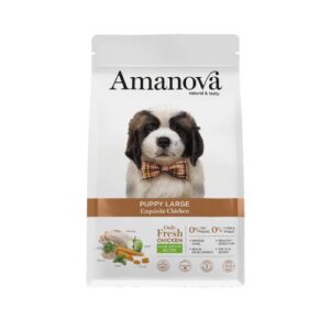 AM Puppy - Large Exquisite Chicken