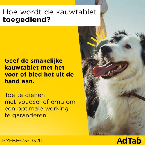AdTab Kauwtablet voor honden - Afbeelding 3
