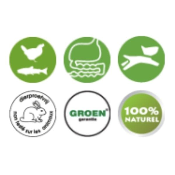 Adult Krokant - Afbeelding 4