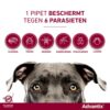 Advantix - Afbeelding 2