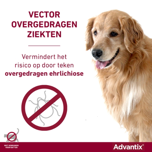 Advantix - Afbeelding 11