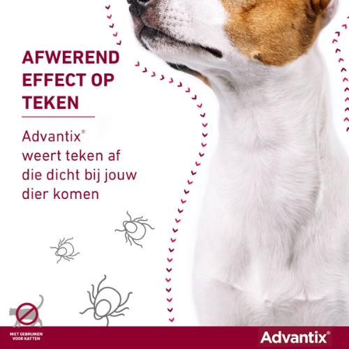 Advantix - Afbeelding 3