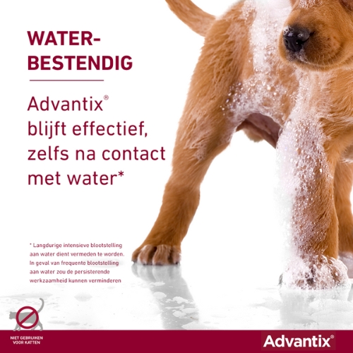 Advantix - Afbeelding 4