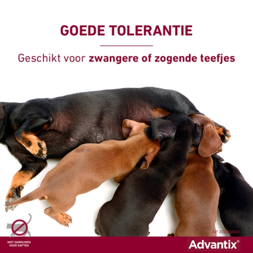 Advantix - Afbeelding 5