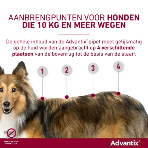 Advantix - Afbeelding 7