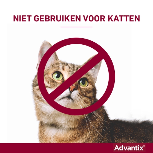 Advantix - Afbeelding 9