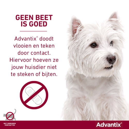 Advantix - Afbeelding 10