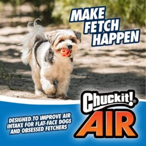 Alternative view of Chuckit! Air Fetch Ball