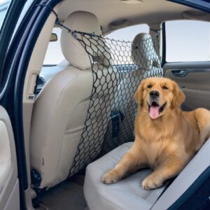 Alternative view of Autoveiligheidsnet