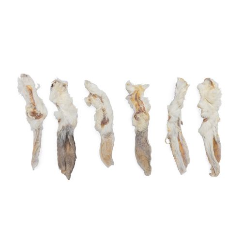 BZ Konijnenoren Met Haar Volume Voordeel