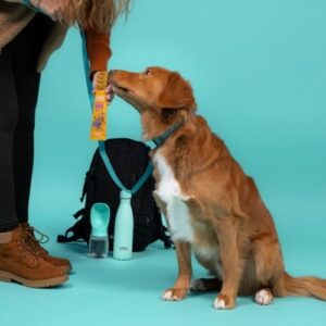 Alternative view of E&C Bars - Reep voor de hond