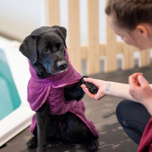 BathPomppa - Badjas - Afbeelding 5