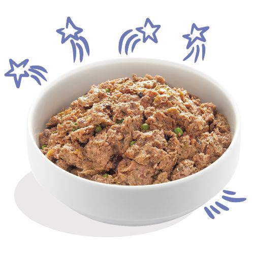 E&C Natvoeding Adult Beef & Duck