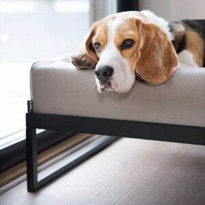 Alternative view of Bia Air