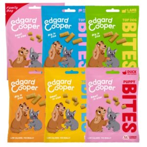 E&C Bites - Trainers