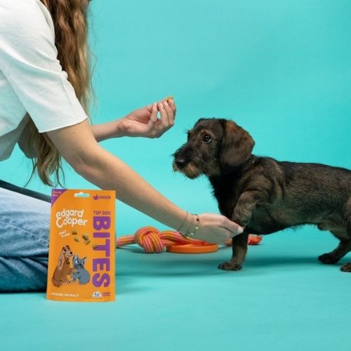 E&C Bites - Trainers - Afbeelding 9