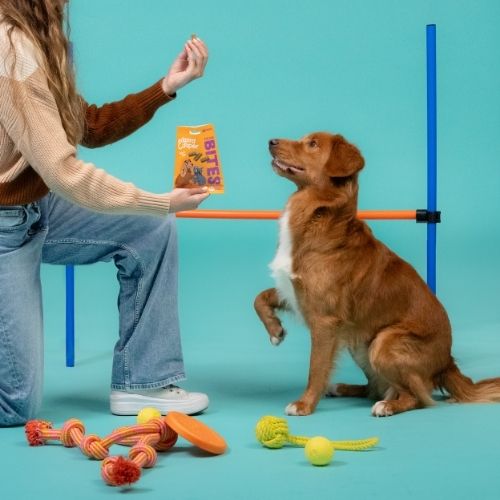 E&C Bites - Trainers - Afbeelding 10