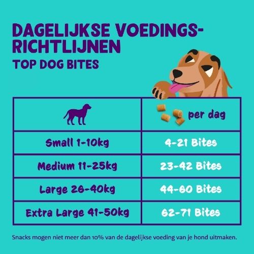 E&C Bites - Trainers - Afbeelding 17