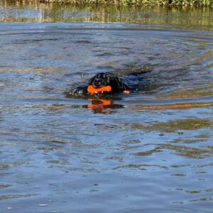 Alternative view of Bobber