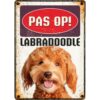 Bord Blik Labradoodle