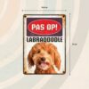 Bord Blik Labradoodle