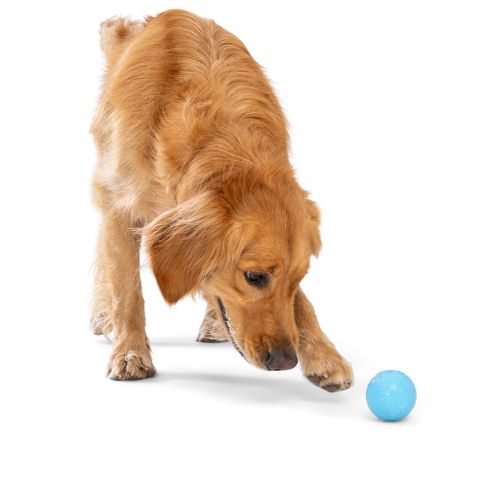 Boundr - Afbeelding 5