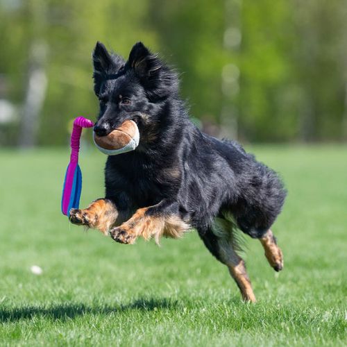 BungeeChewie Ball - Afbeelding 8