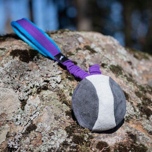 BungeeChewie Ball - Afbeelding 11