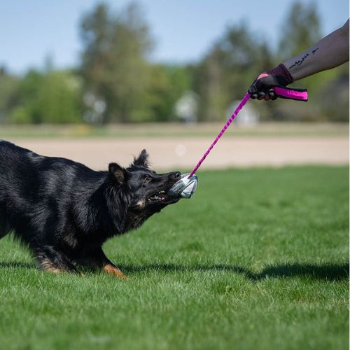 BungeeChewie Ball - Afbeelding 6