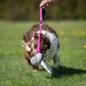 Alternative view of BungeeChewie Ball