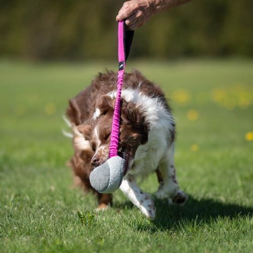 BungeeChewie Ball - Afbeelding 2