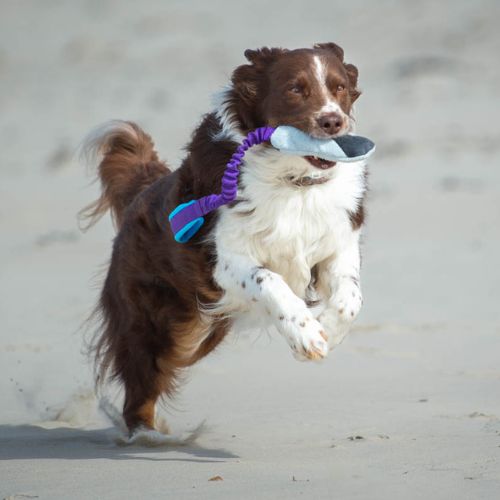 BungeeCutie Tug Toy - Afbeelding 6